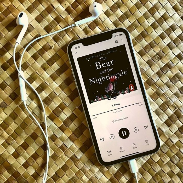 The Bear & The Nightingale (audiobook review)